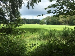 Vakantiepark Schalkhaar Omgeving 26