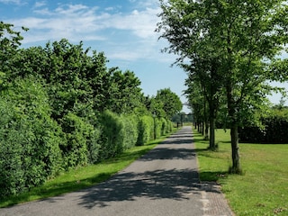 Vakantiepark Bant Omgeving 17