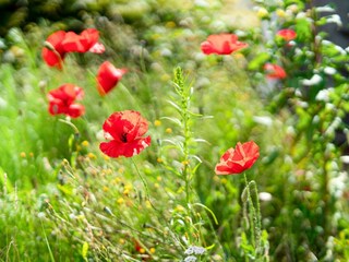 Parc de vacances Bant  35