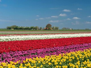 Vakantiepark Bant Omgeving 17