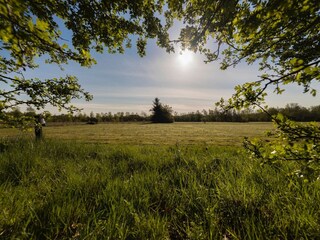 Ferienpark Appelscha Umgebung 24
