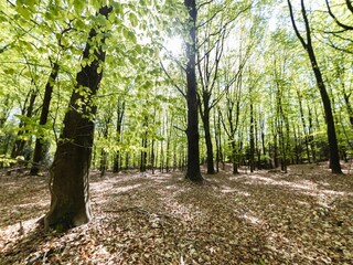 Vakantiepark Appelscha Omgeving 17