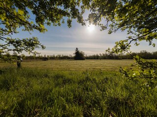 Ferienpark Appelscha Umgebung 15
