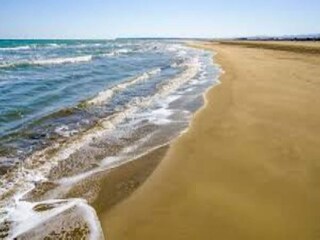 Ferienpark Idskenhuizen Umgebung 23