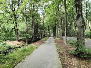 Parc de vacances Idskenhuizen Environnement 34