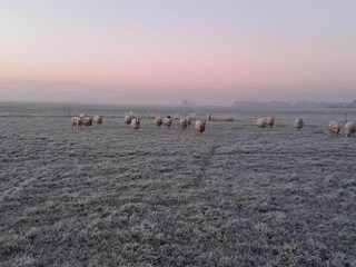 Vakantiepark Idskenhuizen Omgeving 36