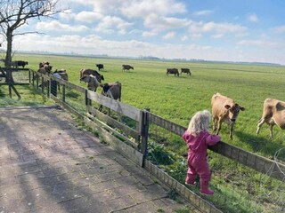 Parque de vacaciones Idskenhuizen Entorno 34