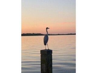 Hausboot Uitwellingerga  38