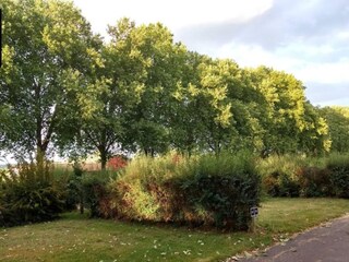 Vakantiepark Makkum Omgeving 20