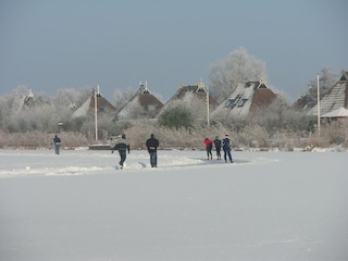 Vakantiehuis Eernewoude Omgeving 27
