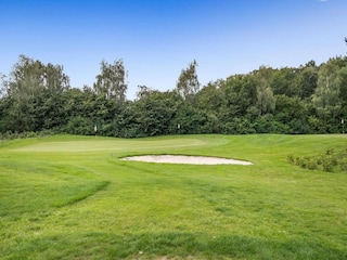 Vakantiepark Appelscha Omgeving 18