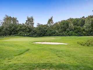 Vakantiepark Appelscha Omgeving 21