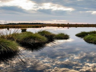 Parc de vacances Appelscha Environnement 23