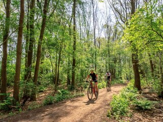 Parc de vacances Appelscha Environnement 30