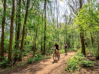 Vakantiepark Appelscha Omgeving 29