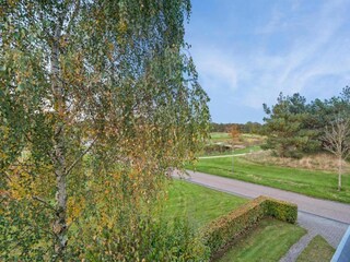 Ferienpark Appelscha Umgebung 33