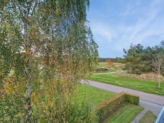 Holiday park Appelscha Environment 32