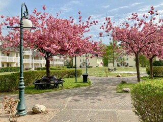 Dünenpark Binz