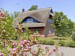 Fachwerkhäuser Gager | Haus 03 | Strate