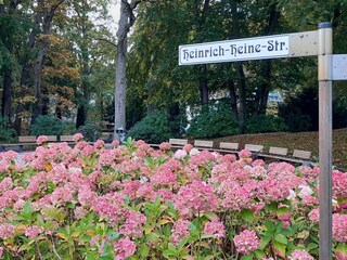 Idyll im Kurpark Binz