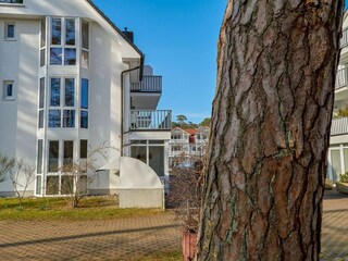 Hausansicht hinten