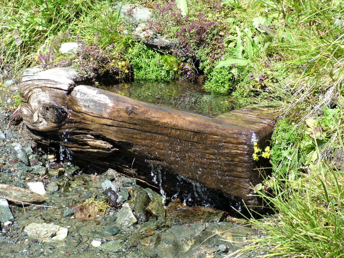 Die Natur dekoriert die Handarbeit des Menschen