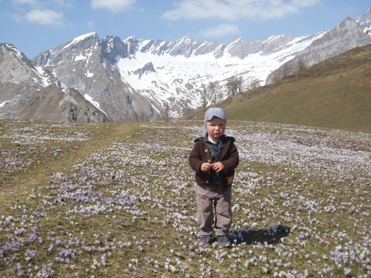 Frühlingserwachen auf 2000m