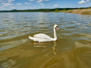 Idyll am Schmachter See