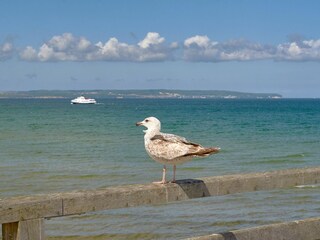 Strandidylle in Binz