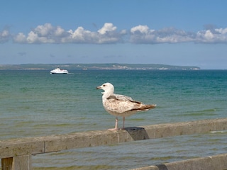 Strandidylle in Binz