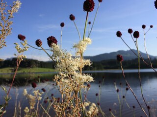 Am Attlesee