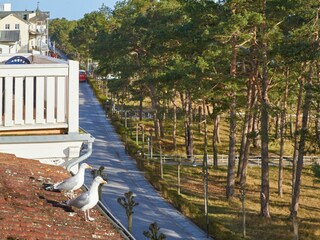 Ferienwohnung Binz Außenaufnahme 4