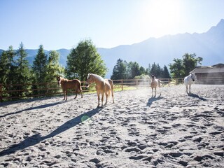 Unser Reitplatz