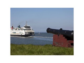 Fähre nach Texel mit blauem Himmel und grüner Küste.