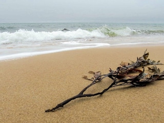 Casa per le vacanze Gilleleje  15