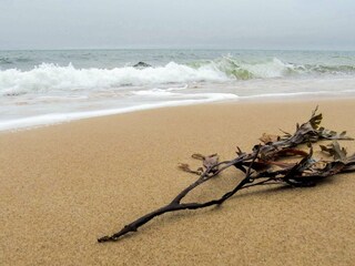 Holiday house Gilleleje  11