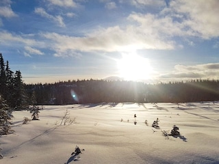 Vakantiehuis Welt  7