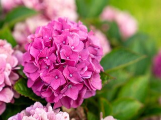 Appartement Garding Enregistrement extérieur 7