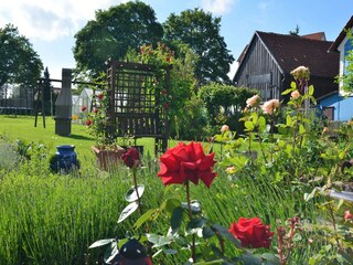 Apartamento Hüttenrode Grabación al aire libre 10