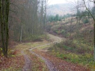 Appartamento Hüttenrode Ambiente 25