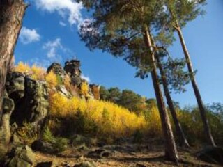 Appartamento Hüttenrode Ambiente 33