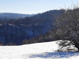 Appartement Hüttenrode Omgeving 34