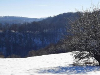 Appartement Hüttenrode Environnement 30