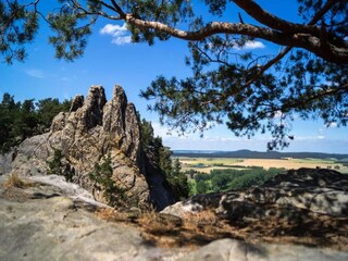 Apartamento Hüttenrode Entorno 31