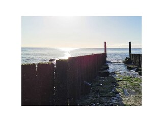 Chalet Breskens Buitenaudio-opname 11