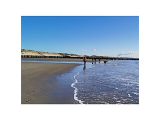 Casa per le vacanze Breskens Registrazione all'aperto 9