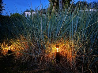 Chalet Breskens Registrazione all'aperto 4