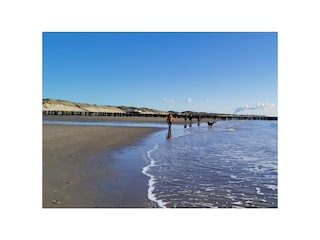 Chalet Breskens Außenaufnahme 14