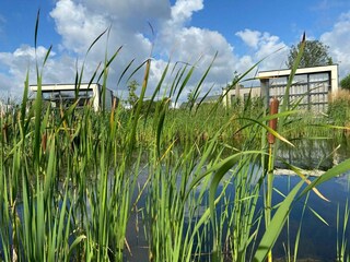 Vakantiehuis Olburgen Buitenaudio-opname 6