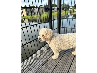 Vakantiehuis Olburgen Buitenaudio-opname 8